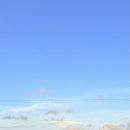 천우마라탕앤샤브 이미지