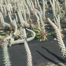 이엠한의원 이미지