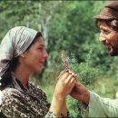 토요바이올린B 이미지