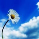 제원한의원 이미지