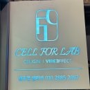 광혜빌딩 | 쉽고빠른체형관리 누워서하는 운동 건강한체질개선히트니스테라피 셀포랩셀레네 체험후기