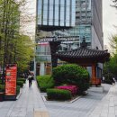 광화문역 혼밥 맛집 샐러드로우앤트라타_ 광화문타코 광화문샐러드맛집