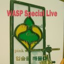 퍼니핑크