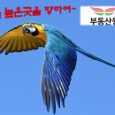 비상법무사