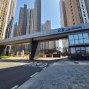 톰과 제니 동물메디컬센터 이미지