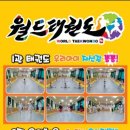 월드태권도 유소년스포츠클럽 이미지