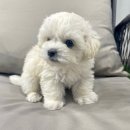 균영농장 이미지