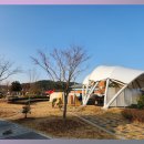 사평전통시장 이미지