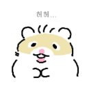 카키짐 이미지