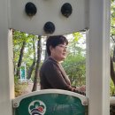 해중보석 네이버블로그