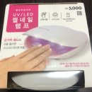 (주)아성다이소 인천주안역점 | 다이소 젤램프(5,000원)