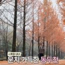 평양호떡