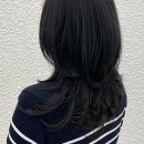 다솔루션