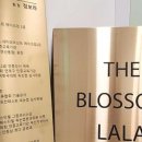 사단법인 한국피부미용능력개발협회