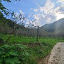 우산여자경로당 이미지