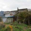 월호평길 이미지