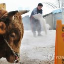 기현목장 이미지