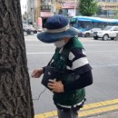 대구나무병원 이미지