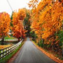 원천태양광발전소 이미지