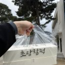 초당 | 강릉 여행 선물 추천 ‘초당찰떡’ 후기 | 강릉선물, 초당 디저트