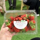 오복농장 | 대전근교 아기랑 가볼만한곳, 논산 또로롱 딸기농장