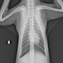 워너비 동물병원 이미지