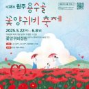 용수골꽃양귀비축제 이미지