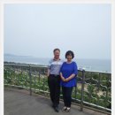 금무리농장 Daum카페