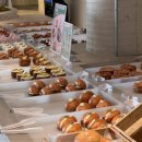 스테이 낭낭 이미지