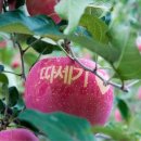 추암농장 이미지