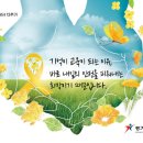 리본