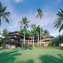 이안 메드 이미지