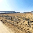 파주OK부동산공인중개사사무소 이미지