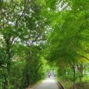 비산 빗물펌프장 이미지