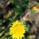 해질녘민박 이미지