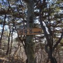 산평초등학교 | 안성명산 (서운산, 부소산)