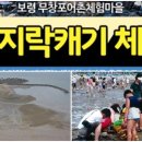 [장사마을]오징어해부체험 티스토리