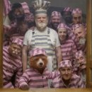 가족영화(패딩턴2) 이미지