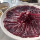참조은생고기