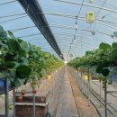 우리들엔영농조합법인 이미지