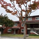 장교농장 이미지