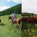 남원읍-45 이미지