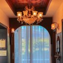 허브애견 이미지