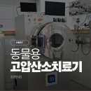 와우동물메디컬센터 | 익산 와우동물메디컬센터, B3ENS 동물용 고압산소치료기 도입 후기