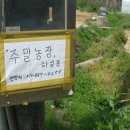 도일농장 이미지