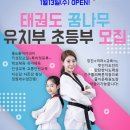 국가대표 태비태권도 이미지