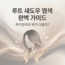 제이루트 | 복구의여왕제이쌤이 정리한 루트 섀도우 염색과 뿌리염색 차이