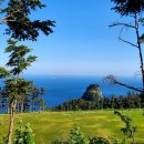 하늘그린(주) 이미지