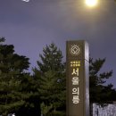 의릉 | [서울/성북]의릉에서 즐기는 가을 숲 야외&amp;야간 도서관! 조선왕릉축전 : 의릉 후기(feat.주말토리)