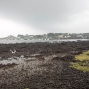 제주 대전 아줌마 민박 이미지